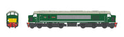 Class 44 - BR Green - D9 - OO Scale - DCC Sound Fitted